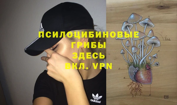 ECSTASY Волосово