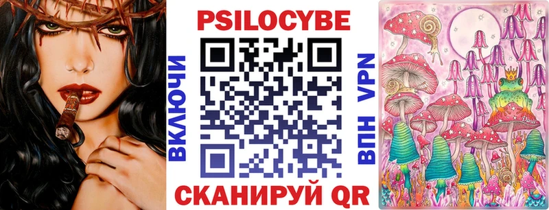 Купить где Узловая Галлюциногенные грибы Cubensis