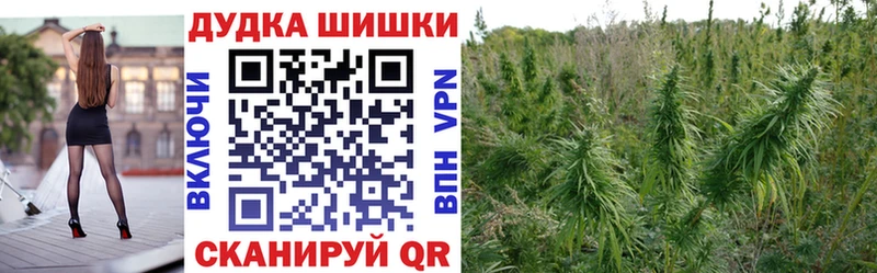Купить  Узловая  Бошки марихуана план 